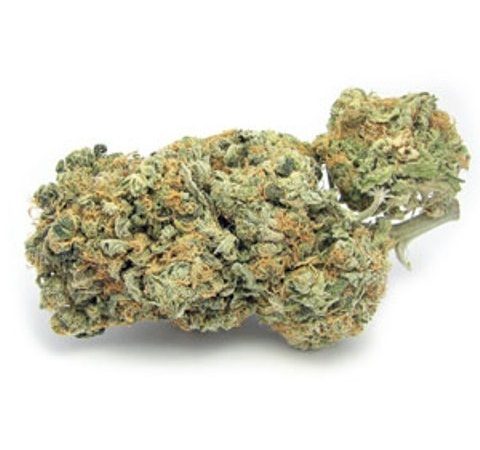 Weed price Prague. 
                    Blue Dream La Vie Marijuana Strain