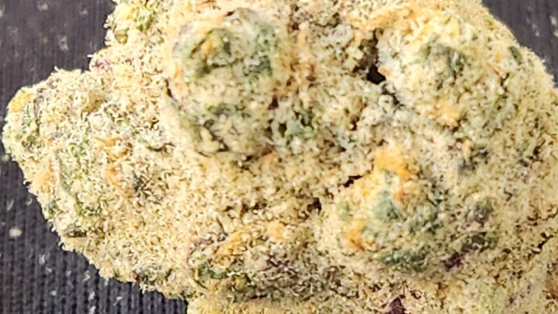 Weed price Prague. 
                    Dog Walker OG Marijuana Strain