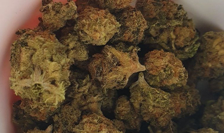 Weed price Prague. 
                    Fix it Felix Marijuana Strain