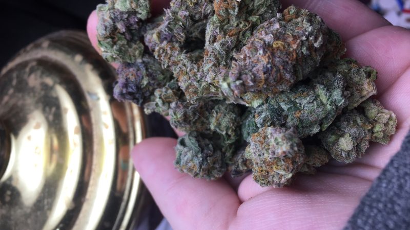 Weed price Prague. 
                    Cinderella’s Dream Marijuana Strain