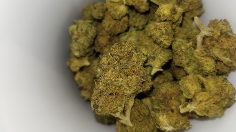 Weed price Prague. 
                    Glueberry OG Marijuana Strain