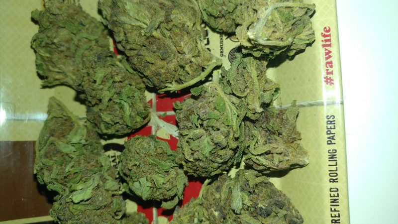 Weed price Prague. 
                    Purple OG Kush Marijuana Strain