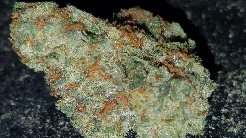 Weed price Prague. 
                    OG Wreck Marijuana Strain