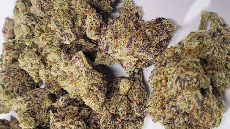 Weed price Prague. 
                    Triangle Mints Marijuana Strain