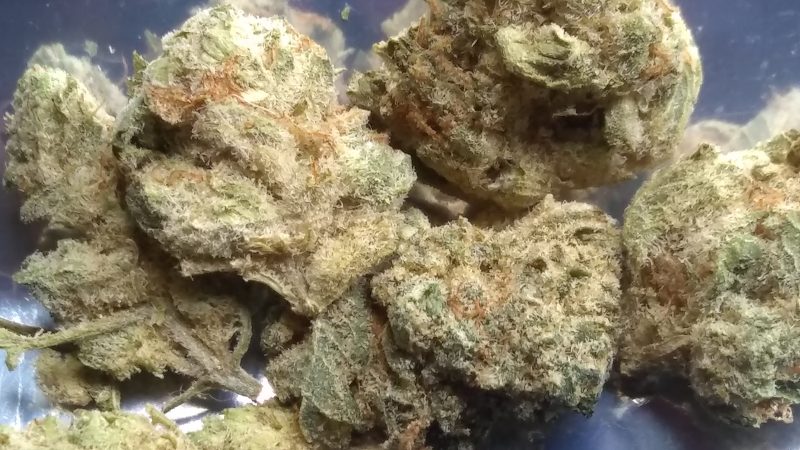 Weed price Prague. 
                    Tang Marijuana Strain