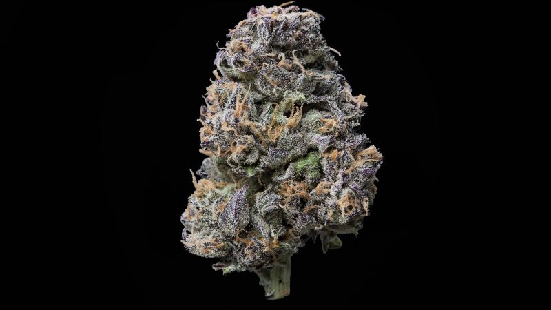 Weed price Prague. 
                    Return of the MAC Marijuana Strain