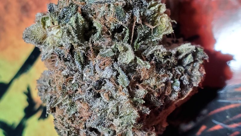 Weed price Prague. 
                    Donkey Butter Marijuana Strain