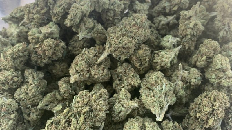 Weed price Prague. 
                     Gooey Marijuana Strain