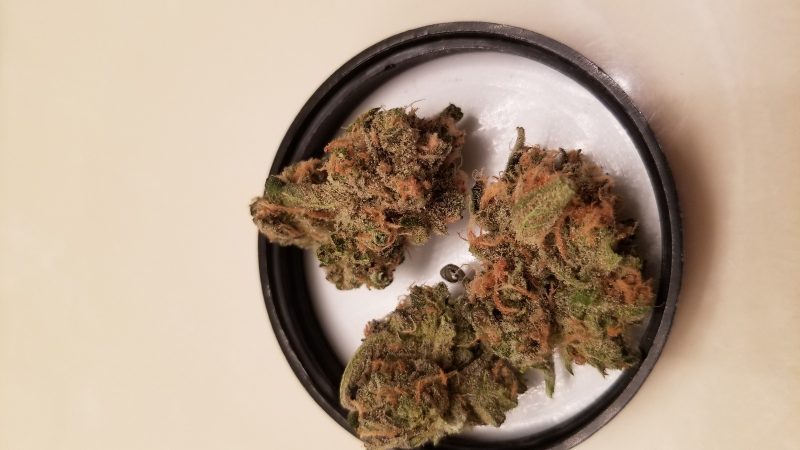 Weed price Prague. 
                    White Nightmare Marijuana Strain