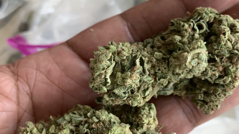 Weed price Prague. 
                    Cantelope Marijuana Strain