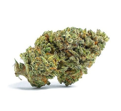 Weed price Prague. 
                    Sour Garlic Cookies Marijuana Strain
