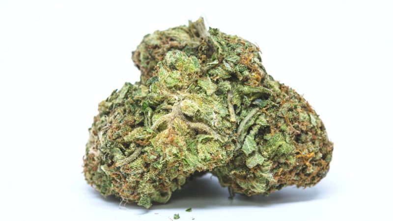 Weed price Prague. 
                    Frosty Jesus Marijuana Strain