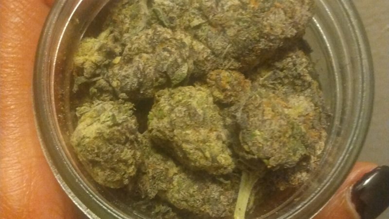 Weed price Prague. 
                    Snowcone Marijuana Strain