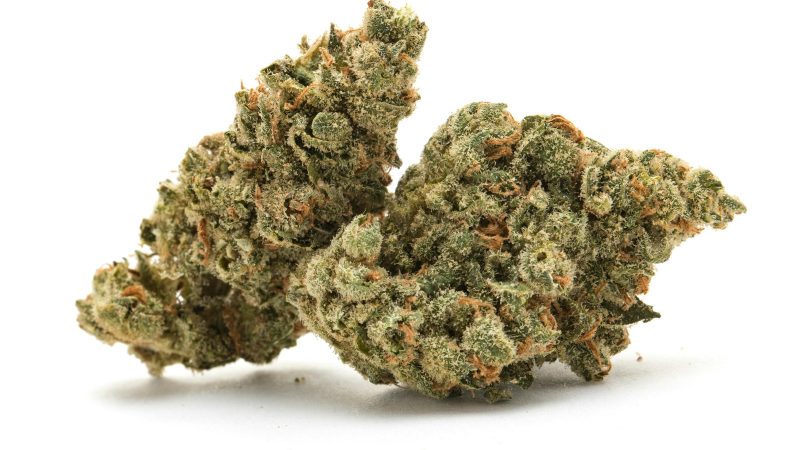 Weed price Prague. 
                    Purple Wheelchair Marijuana Strain