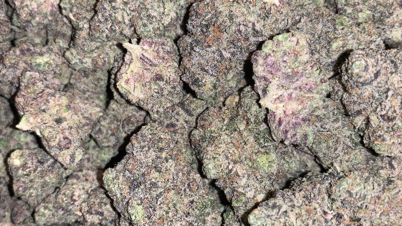 Weed price Prague. 
                    31 Flavors Marijuana Strain