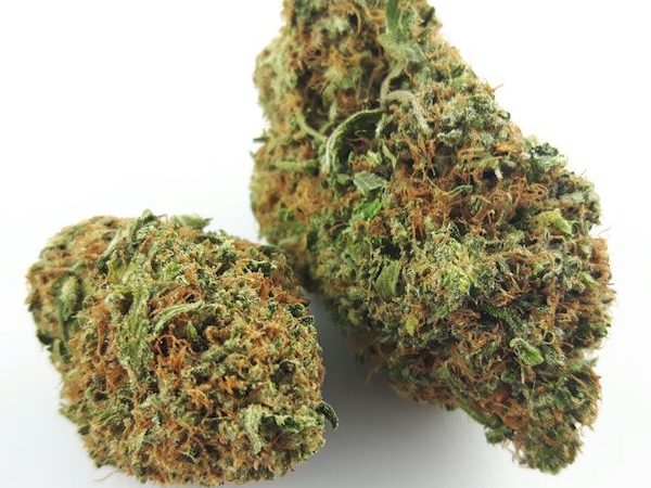 Weed price Prague. 
                    Pink Bubba Marijuana Strain