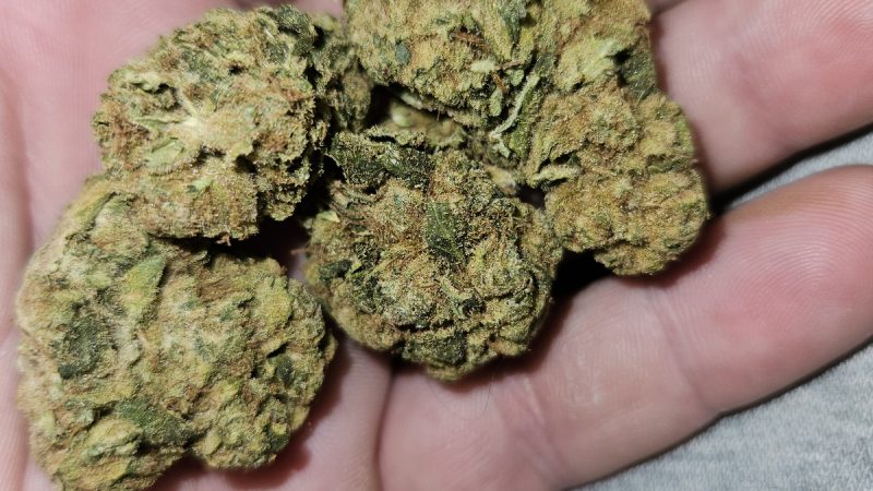 Weed price Prague. 
                    Commerce City Kush Marijuana Strain