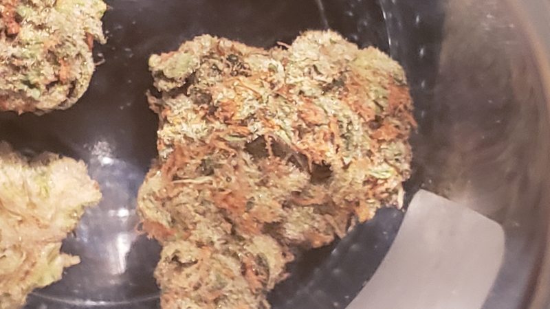 Weed price Prague. 
                    Lava Cake Marijuana Strain