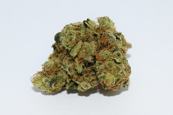 Weed price Prague. 
                    White Thunder Marijuana Strain