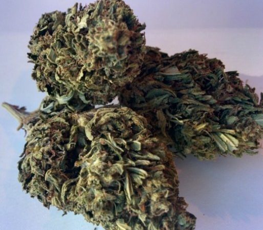 Weed price Prague. 
                    OG Sour Marijuana Strain