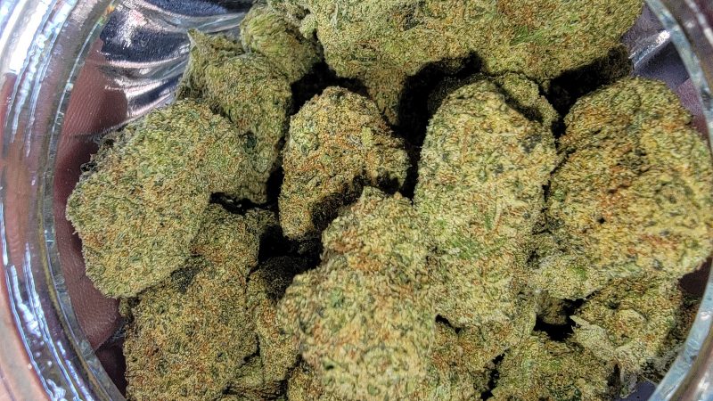 Weed price Prague. 
                    Alien Grenades Marijuana Strain