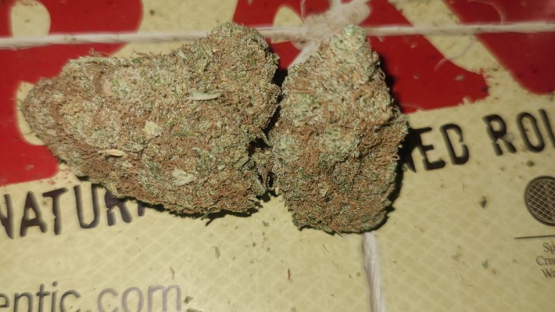 Weed price Prague. 
                    Gelato Punch Marijuana Strain