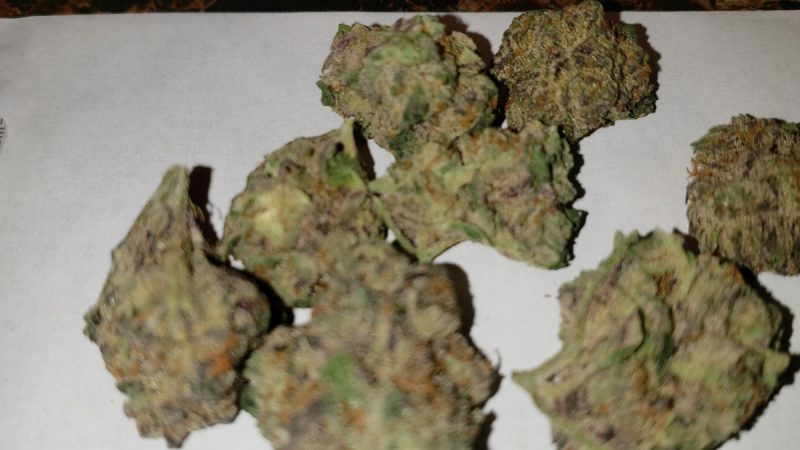 Weed price Prague. 
                    Jokerz Marijuana Strain