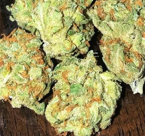 Weed price Prague. 
                    Honey Rock Marijuana Strain