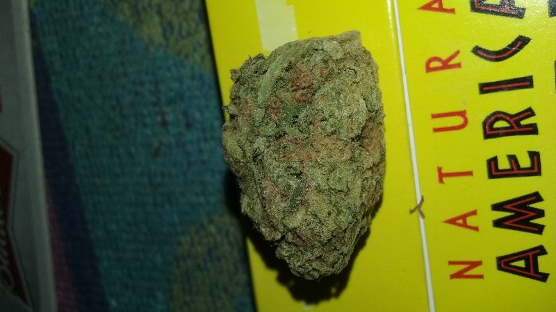 Weed price Prague. 
                    Blue Nightmare Marijuana Strain
