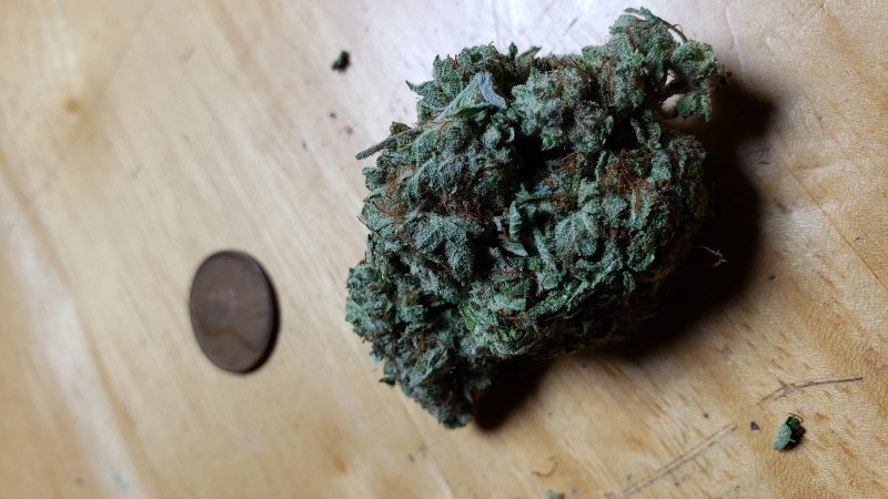 Weed price Prague. 
                    Dakini Kush Marijuana Strain