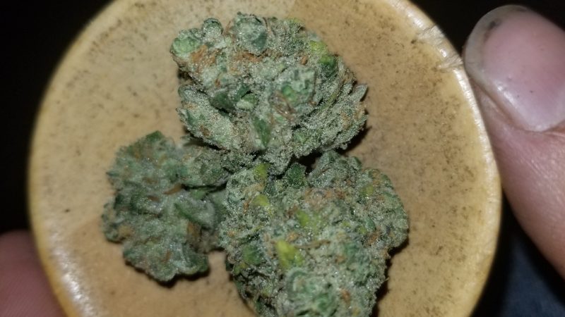 Weed price Prague. 
                    Big Smooth Marijuana Strain