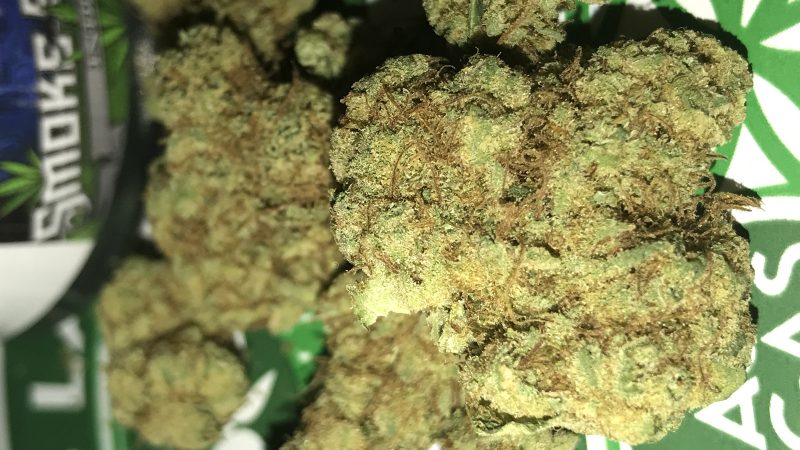 Weed price Prague. 
                    Alien Riff Marijuana Strain