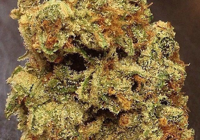 Weed price Prague. 
                    Mercury OG Marijuana Strain