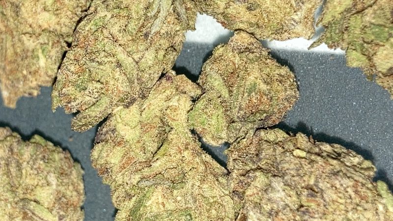 Weed price Prague. 
                    Blueberry Yum Yum Marijuana Strain