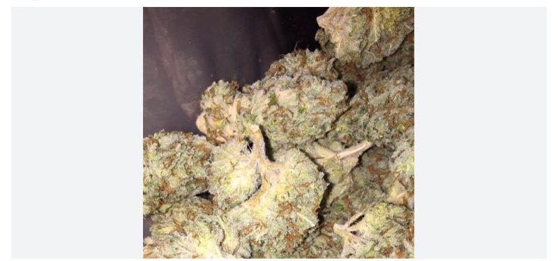 Weed price Prague. 
                    Buddhas Hand Marijuana Strain