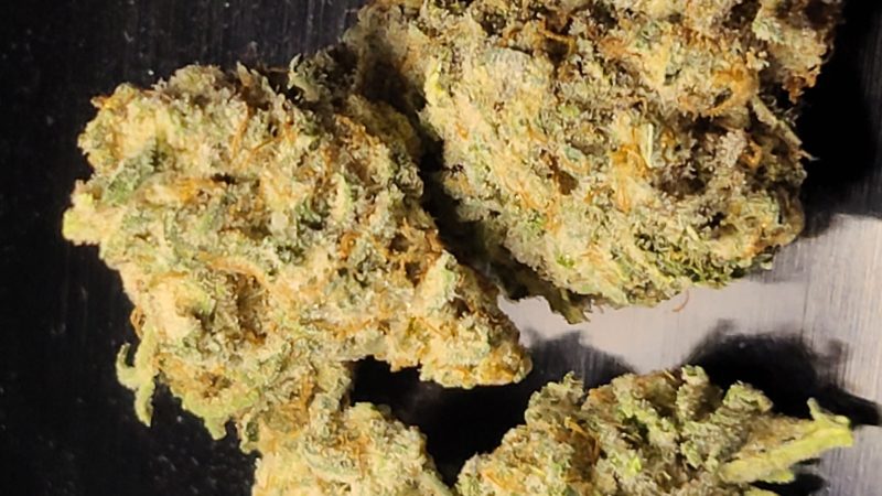 Weed price Prague. 
                    Martian Candy Marijuana Strain