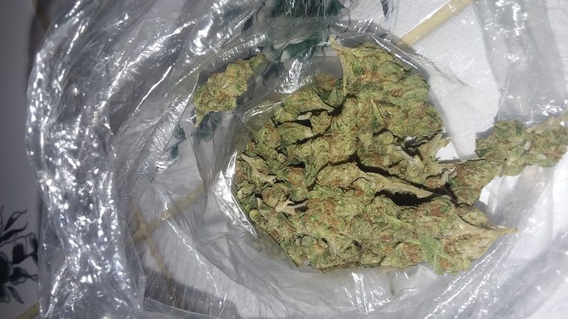 Weed price Prague. 
                    Chocolate Kush Marijuana Strain