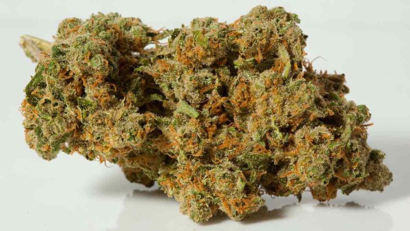 Weed price Prague. 
                    The Shire Marijuana Strain