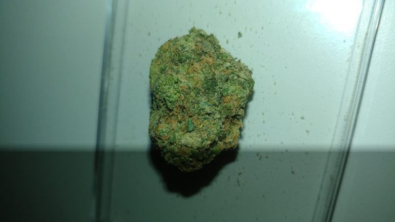 Weed price Prague. 
                    Snoop’s Dream Marijuana Strain