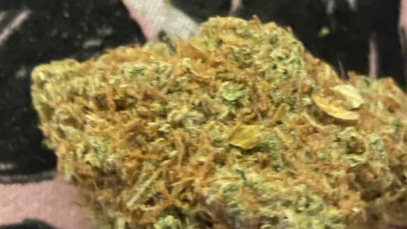 Weed price Prague. 
                    Super Lemon OG Marijuana Strain