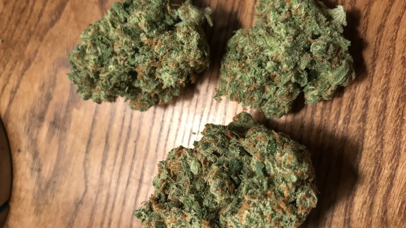 Weed price Prague. 
                    Chocolope Kush Marijuana Strain