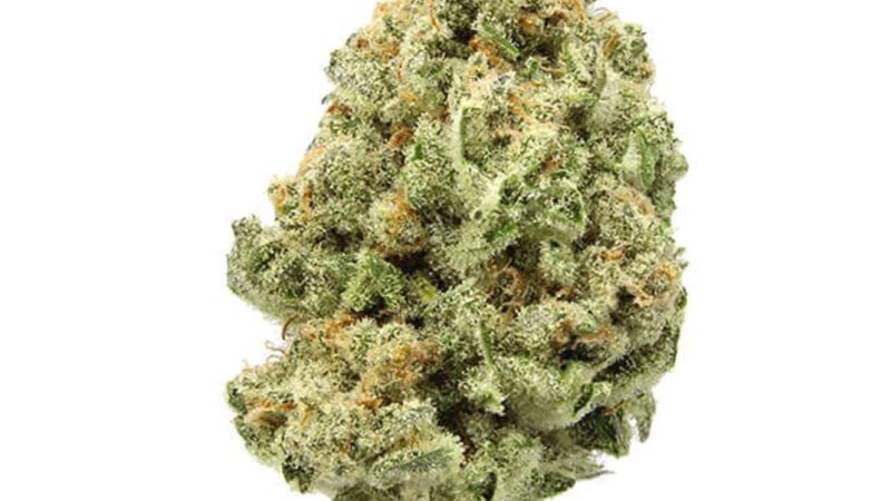 Weed price Prague. 
                    Derailed Marijuana Strain