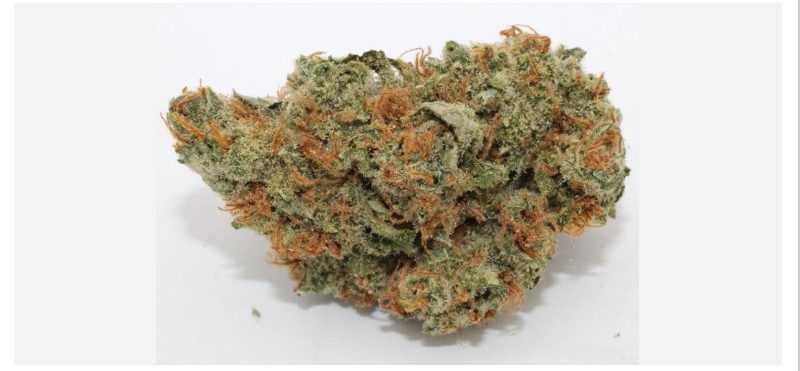 Weed price Prague. 
                    Silver Surfer Marijuana Strain