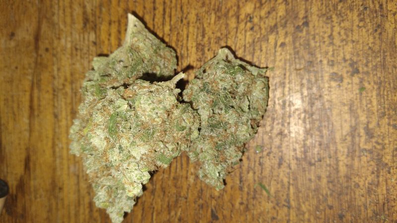 Weed price Prague. 
                    Lemon Cap Marijuana Strain