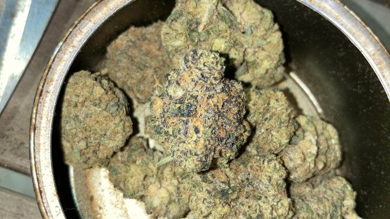 Weed price Prague. 
                    Terpee Slurpee Marijuana Strain