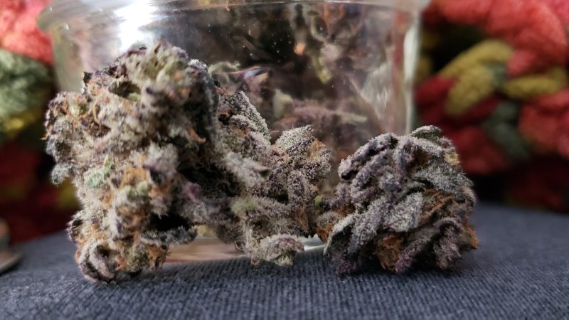 Weed price Prague. 
                    Peyote Cookies Marijuana Strain