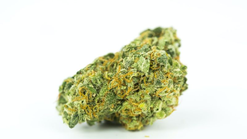 Weed price Prague. 
                    Runaway Bride Marijuana Strain