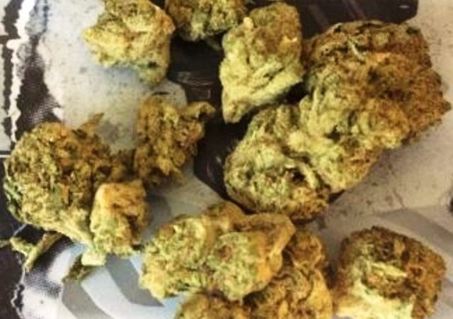 Weed price Prague. 
                    Quantum Hammer Marijuana Strain