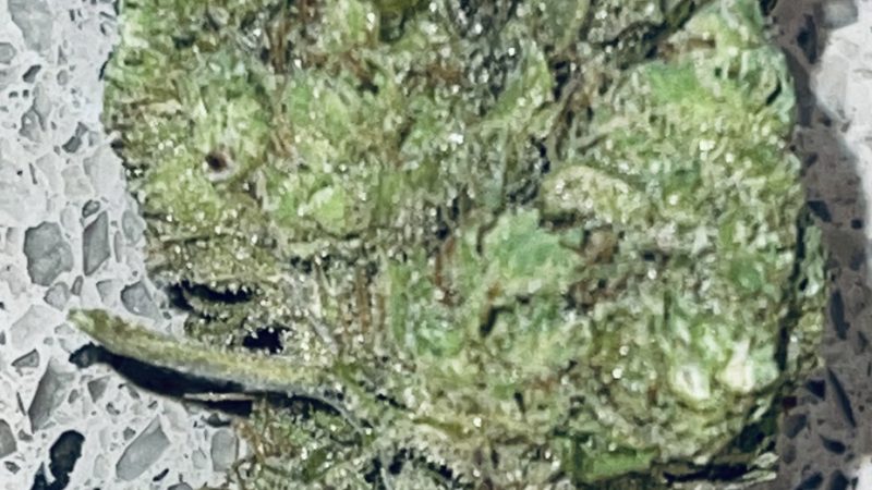 Weed price Prague. 
                    Sweet Cheese Marijuana Strain