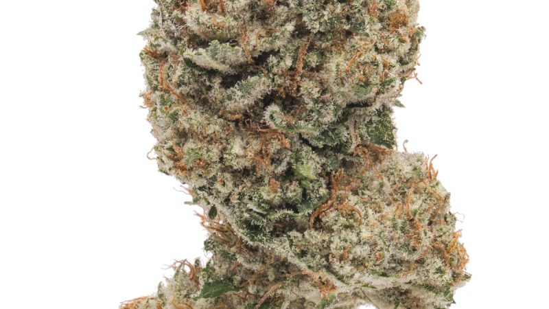 Weed price Prague. 
                    Strawberries and Cream Marijuana Strain